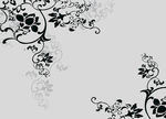 黑白花拓印