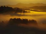 黄昏云雾