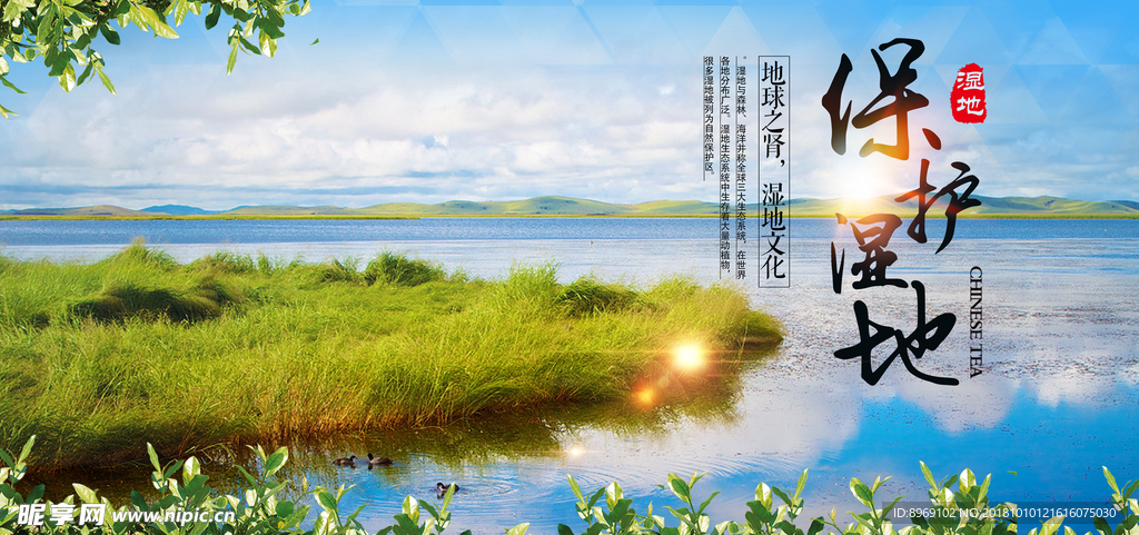 保护湿地公益展板