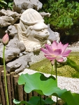 龙窝楼吐水石狮