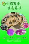 生态农业