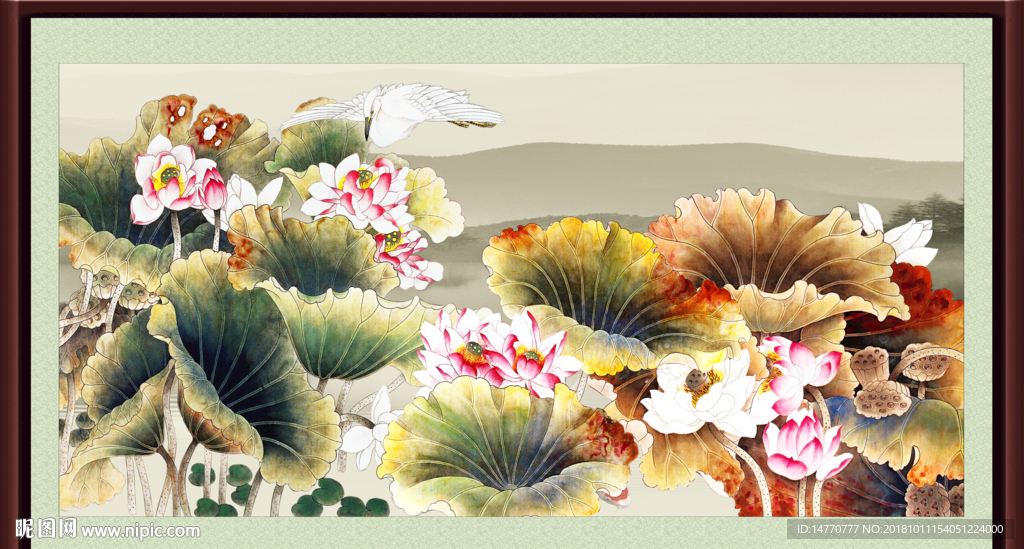荷花国画