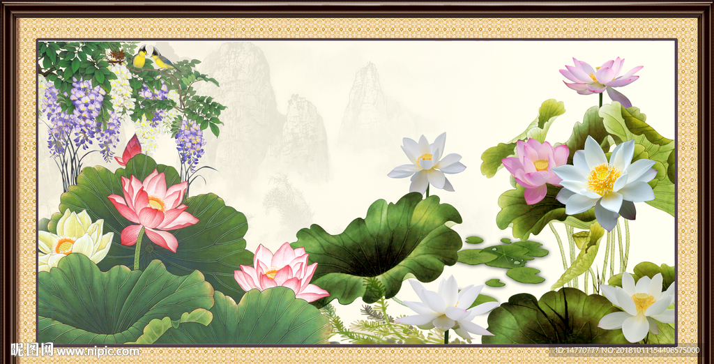 荷花国画
