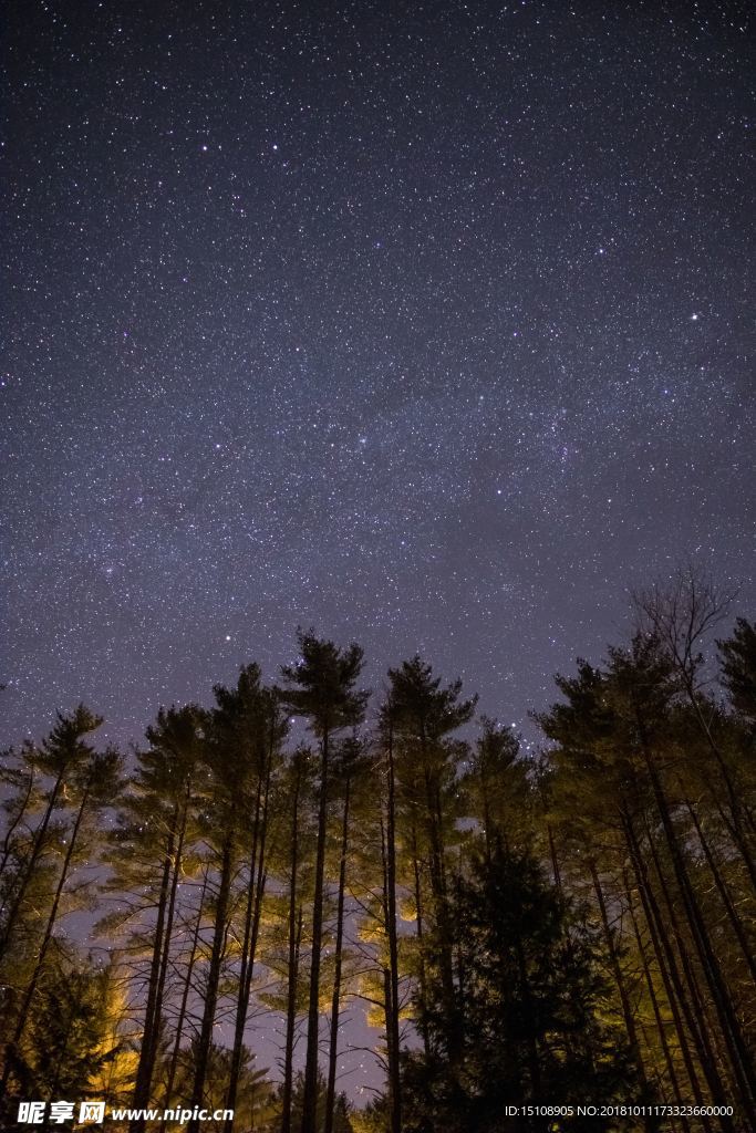 树林星空