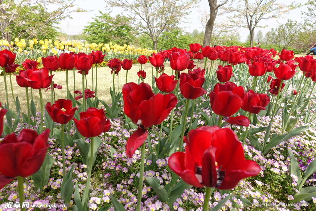花