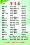 项目表