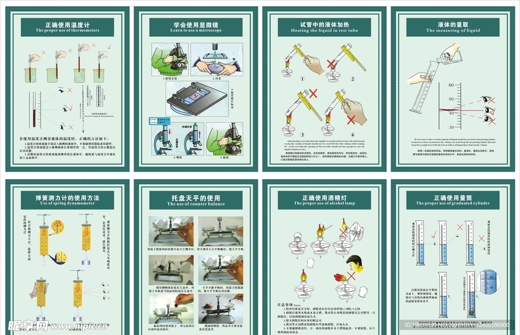 实验室挂图