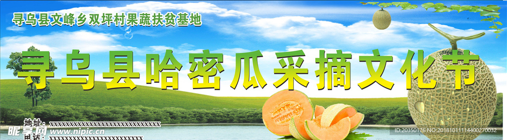 哈密瓜采摘节