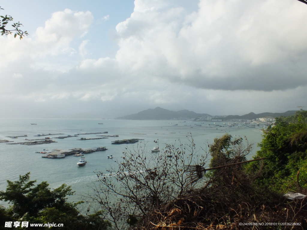 海港