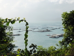 大海