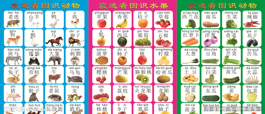 幼儿识图