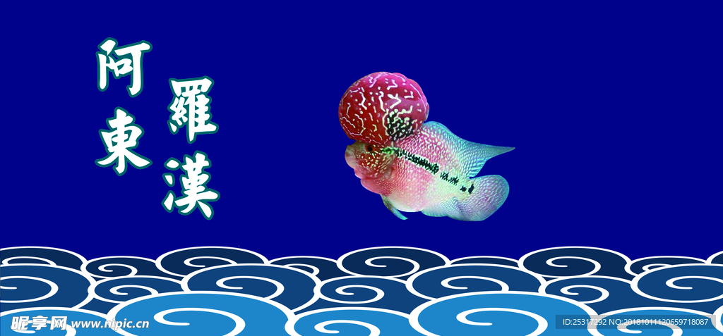 罗汉鱼