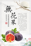 无花果图片