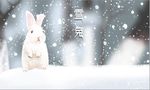 雪兔