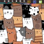 猫