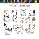 猫