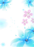花朵