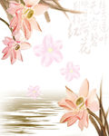花纹
