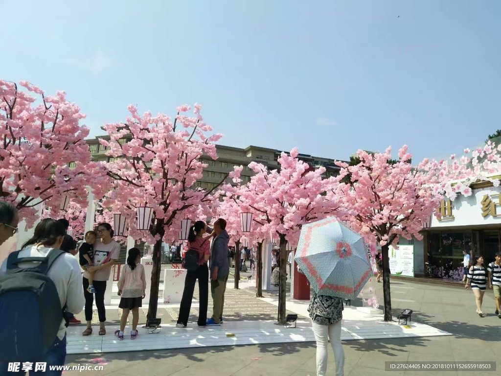 樱花