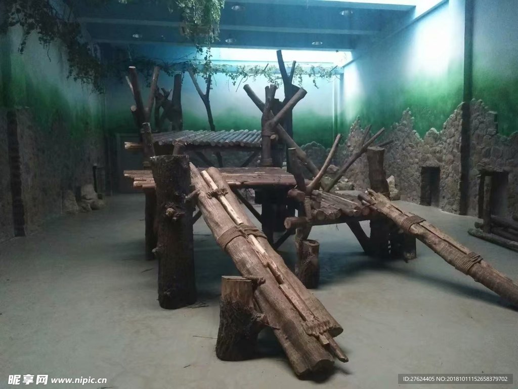 枯树