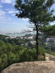 山顶风景