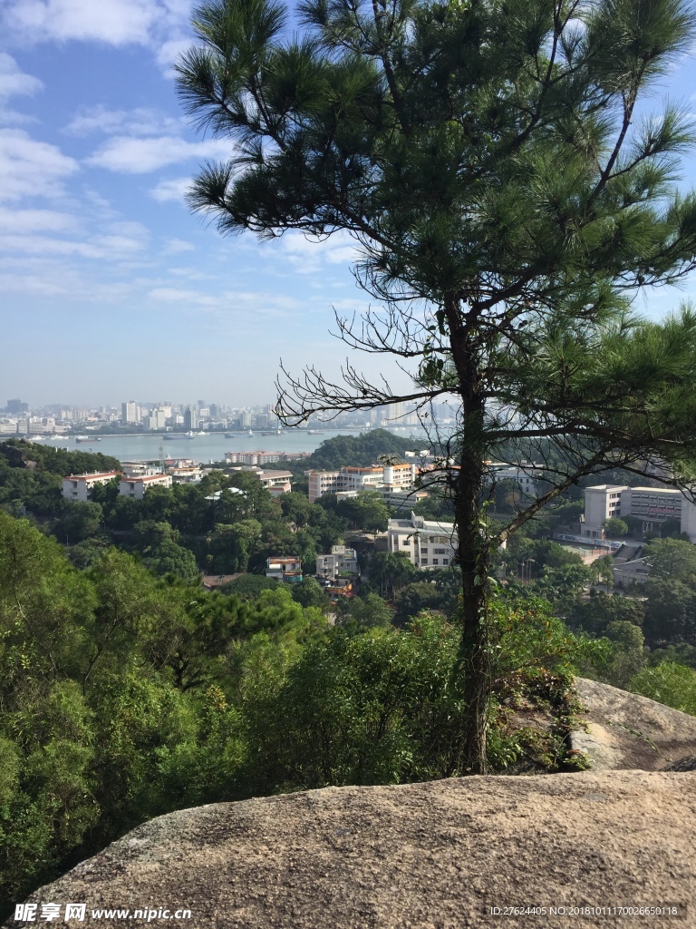 山顶风景