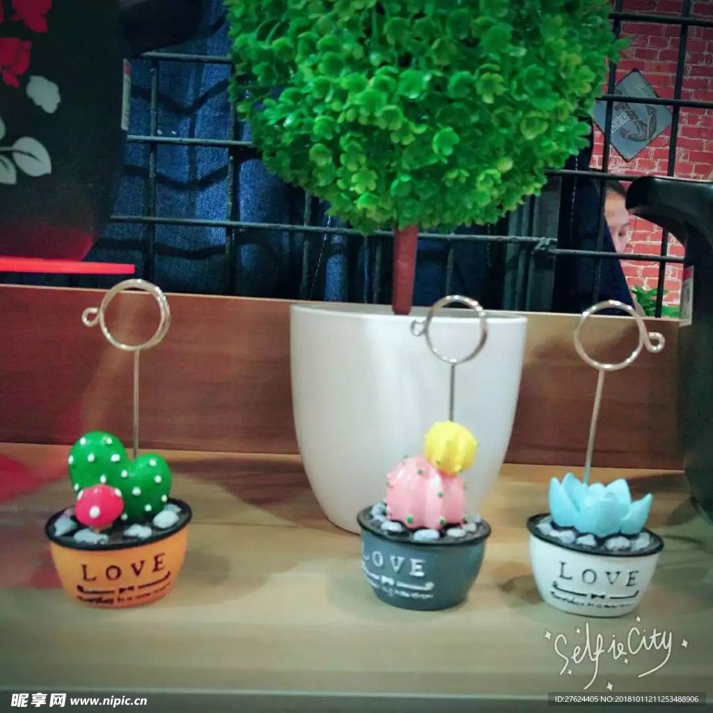 盆栽植物