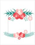 花边花纹