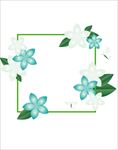 花边花纹