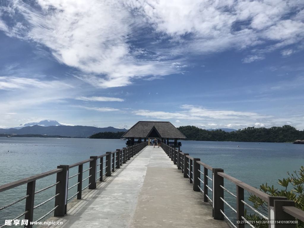 海