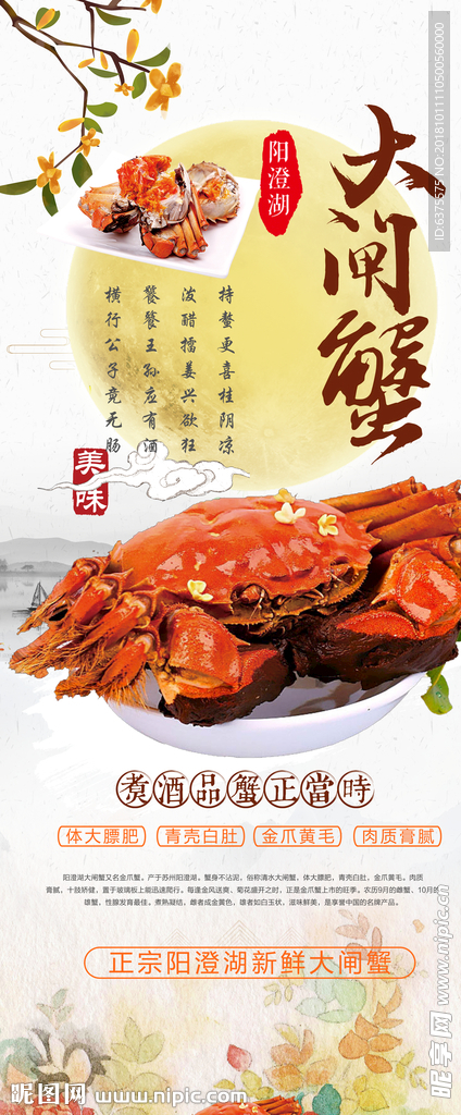 大闸蟹展架