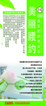 减肥  美丽腰约