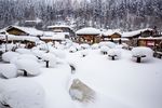 雪乡美景
