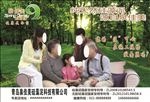 泉佳美硅藻泥