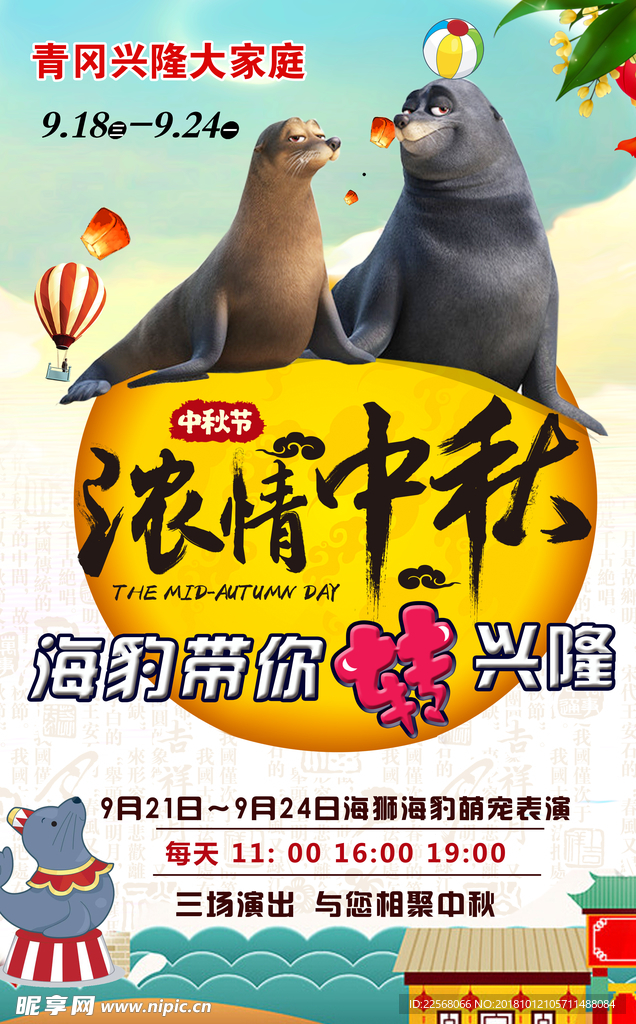 浓情中秋 海豚表演