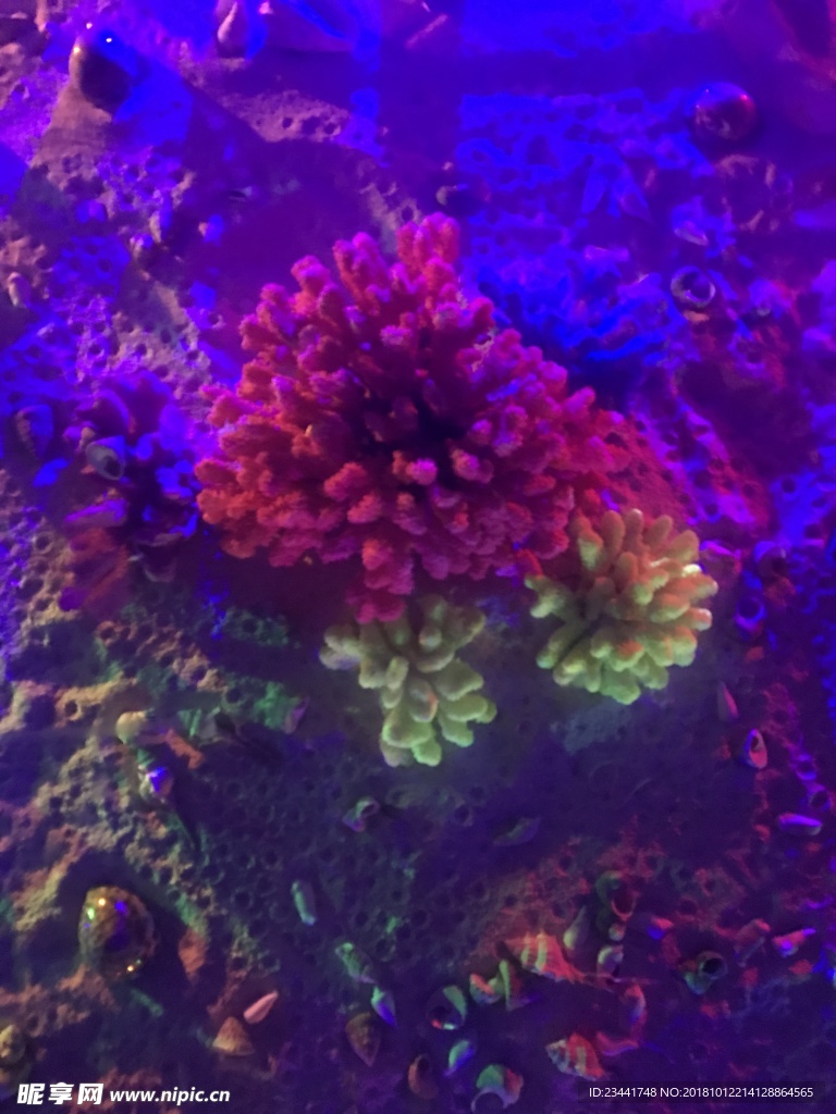 海洋世界