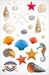 海洋生物