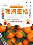 桔子海报