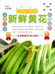 黄花菜海报