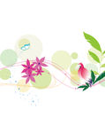 花纹