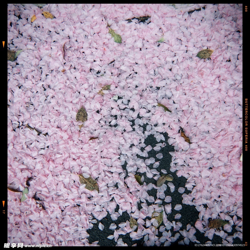 落花