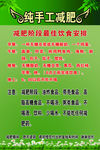 绿色减肥