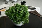 香菜