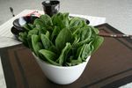 菠菜