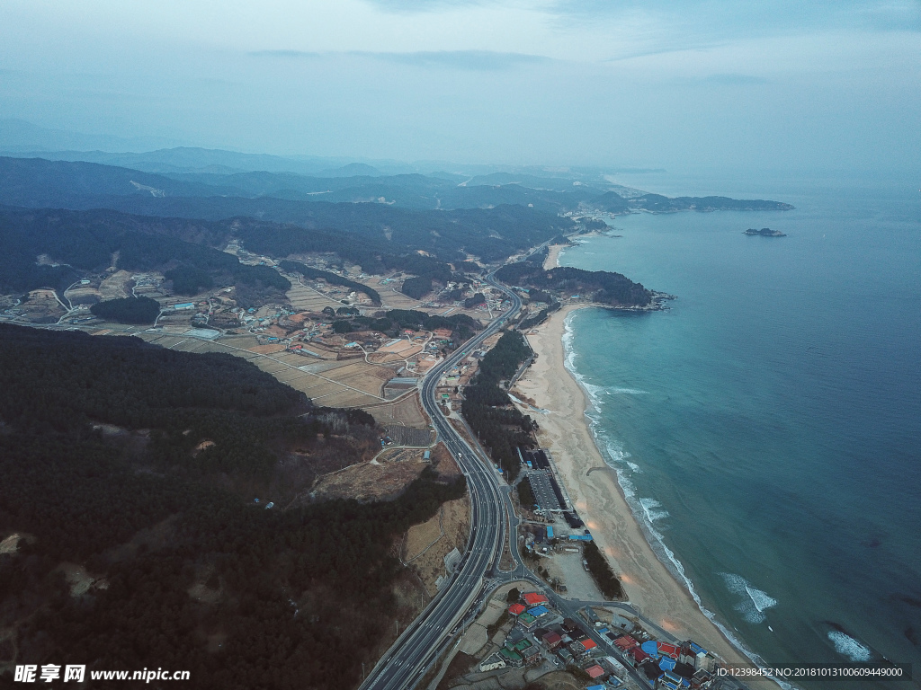 大海