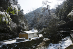醉山野雪景