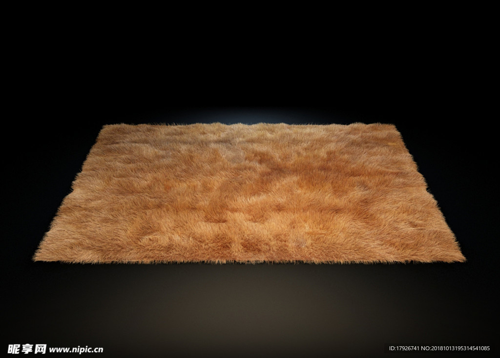 精品地毯3D模型
