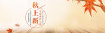 banner模板