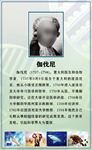 【生物学家】伽伐尼