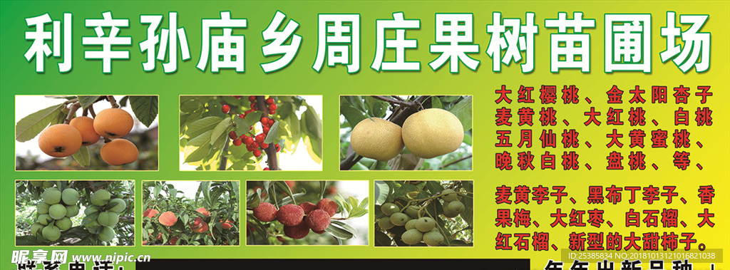 水果果园宣传